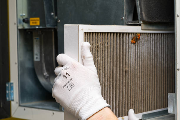Best Affordable HVAC Duct Cleaning  in Emmetsburg, IA