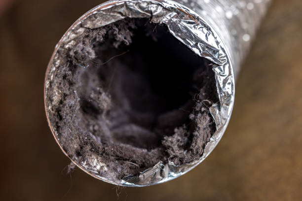 Home Air Vent Cleaning in Emmetsburg, IA
