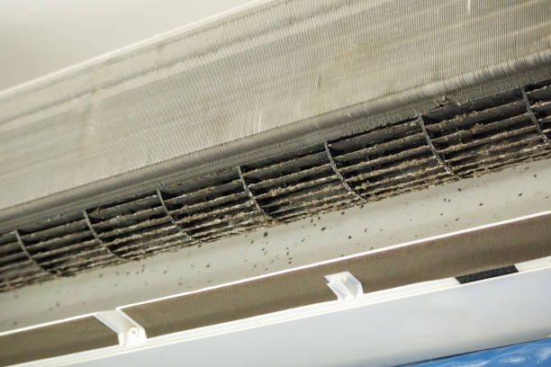 Best Ductwork Cleaning Services  in Emmetsburg, IA