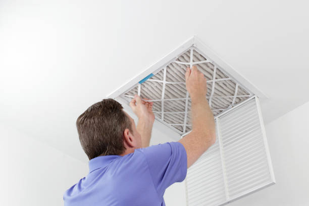 Air Duct Mold Removal in Emmetsburg, IA
